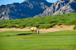一時帰国！家族の待つ故郷へ