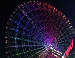 　みんなが知らない大阪の街🐙