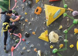 キャロの丁寧な暮らし（平日ver）