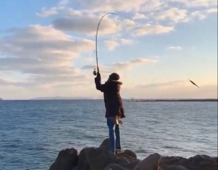 多趣味部（非公式）