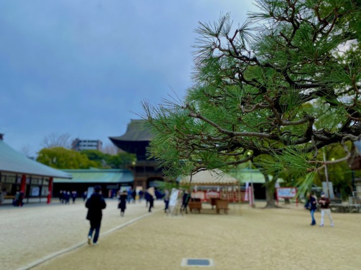 年始のご挨拶🎍