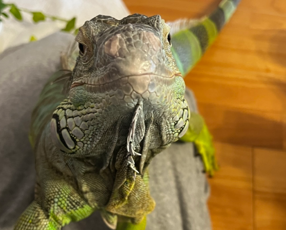 NO animal NO LIFE 🤩