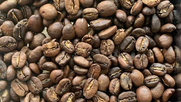 コーヒーソムリエ山野☕