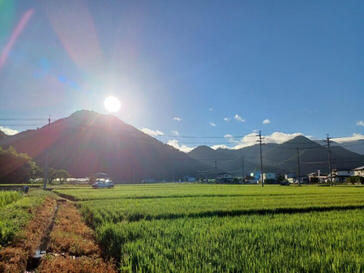 社内対談インタビューvol.2”他の畑に飛び込んだら、本当に畑だった件”