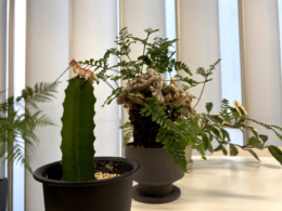 👌ちょこっとアンケート🙆🙆‍♂️🙆‍♀️🙆🙆‍♂️💗🫰