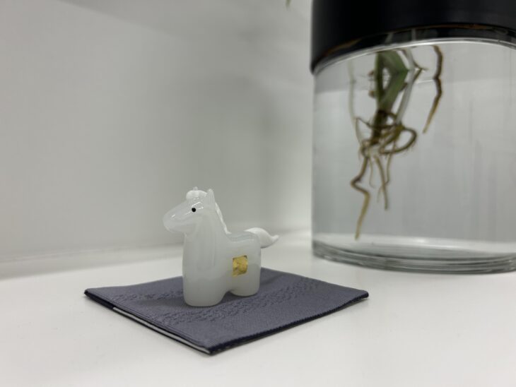 2025年のグラウド