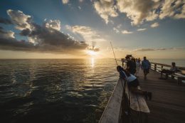 「魚が釣れているのはリフレッシュ補助金のおかげですよ！」