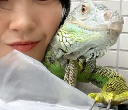 おもしろスタッフあつまれ🦎vol.4～ブロの夏休み2022～