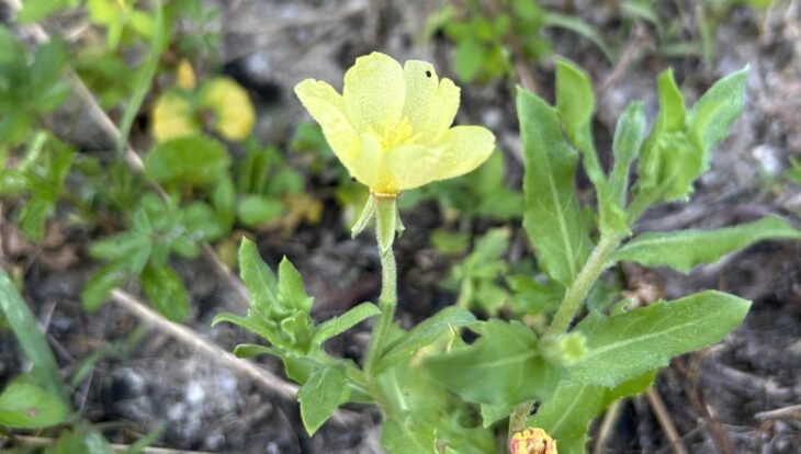 物事を続けていくために必要なこと。