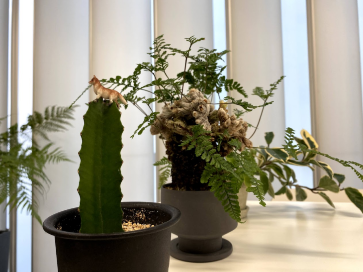 👌ちょこっとアンケート🙆🙆‍♂️🙆‍♀️🙆🙆‍♂️💗🫰