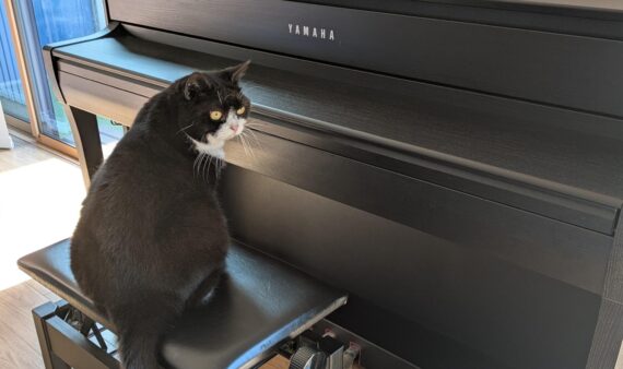 みんなのリフレーッシュ！