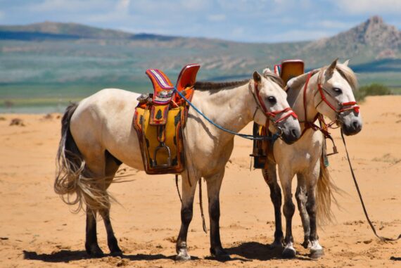 2026年　新年のご挨拶